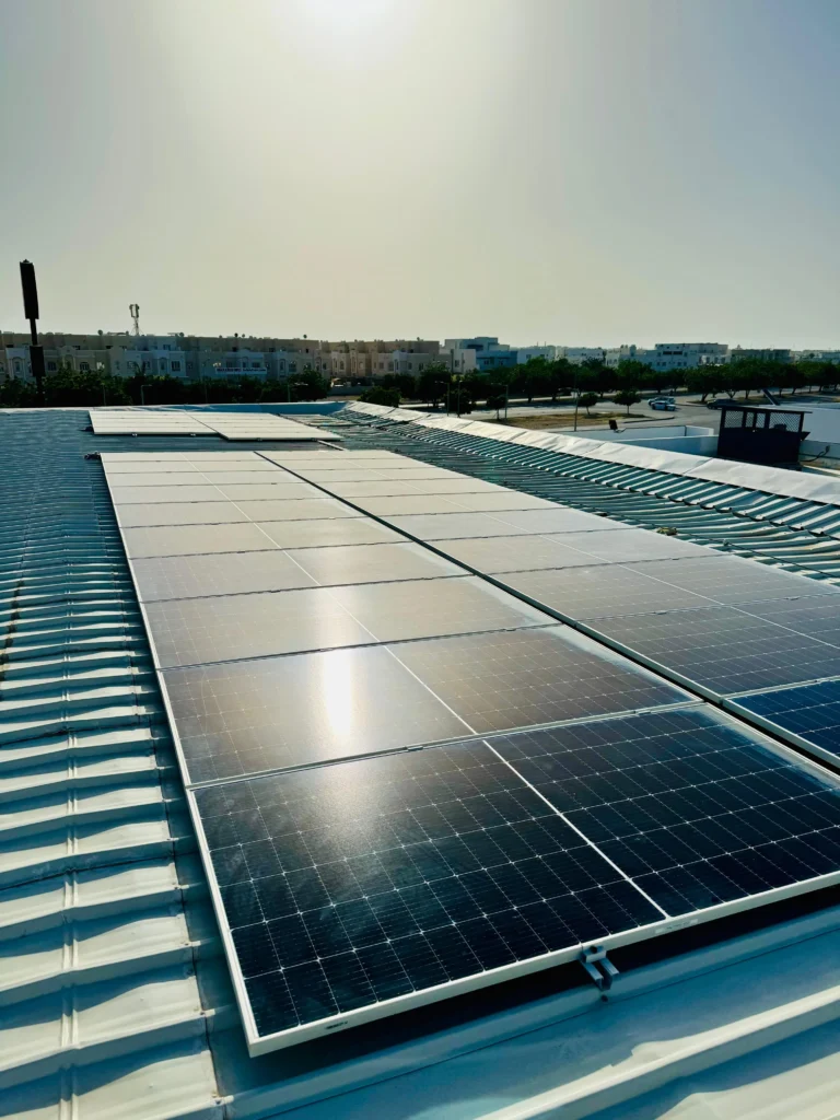 WhatsApp Image 2026-02-21 at 11.28.22 (3)