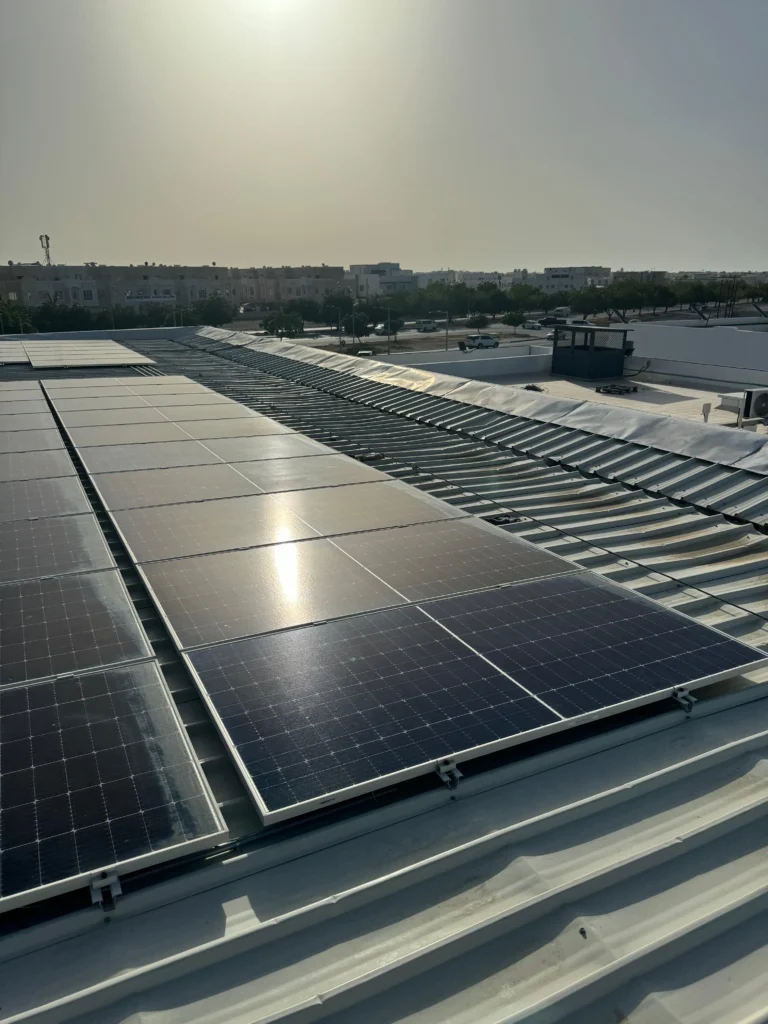 WhatsApp Image 2026-02-21 at 11.28.24